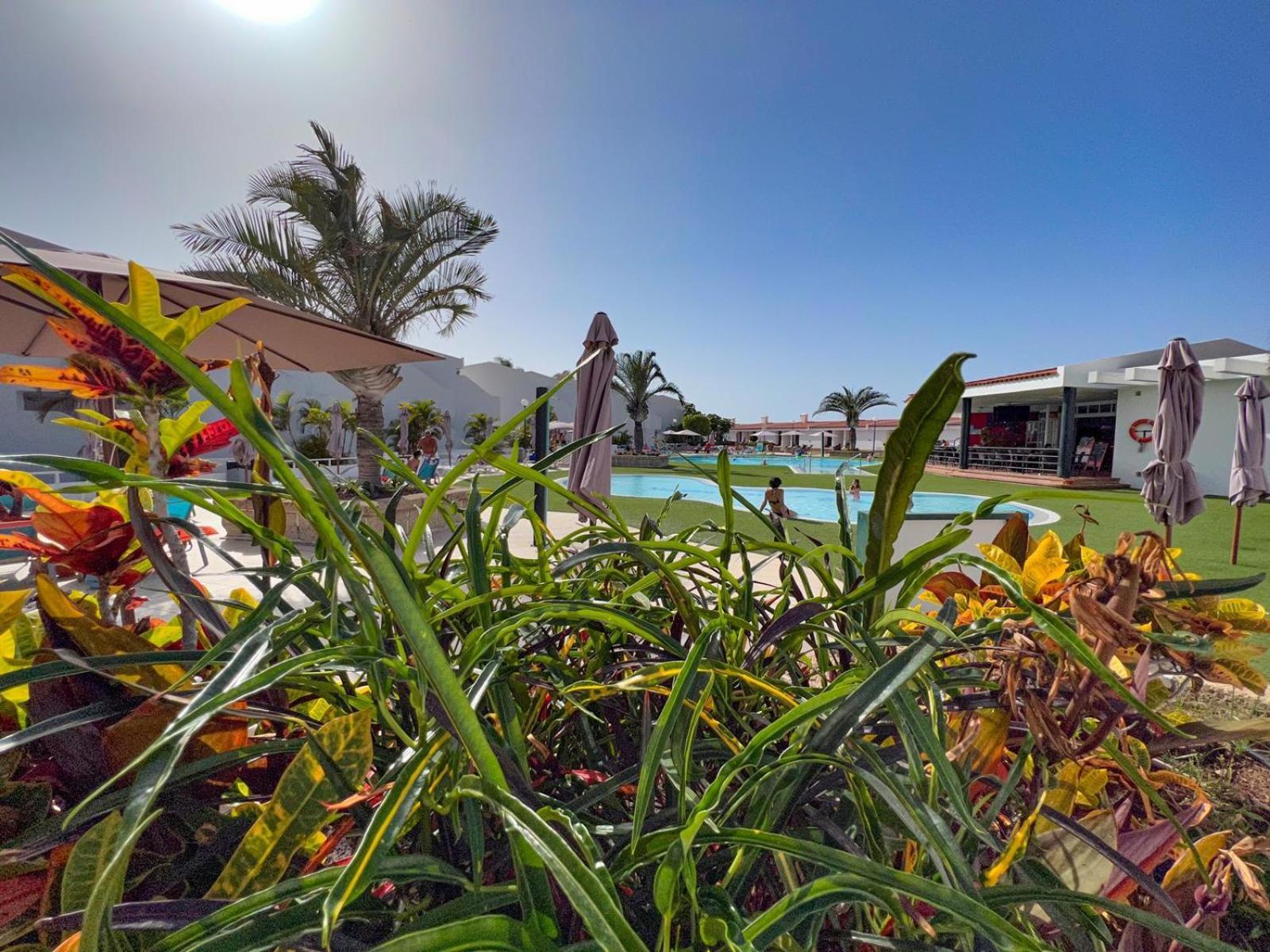 Malibu Park Apartments Sol Costa Adeje  Exteriör bild